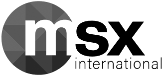 MSXI