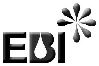 ebi